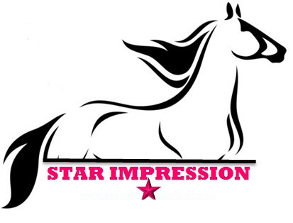 Star Impression Child Care Logo