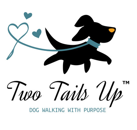 Two tails shop dog walking