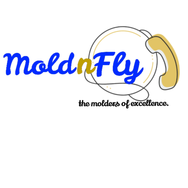 Moldnfly Llc Logo