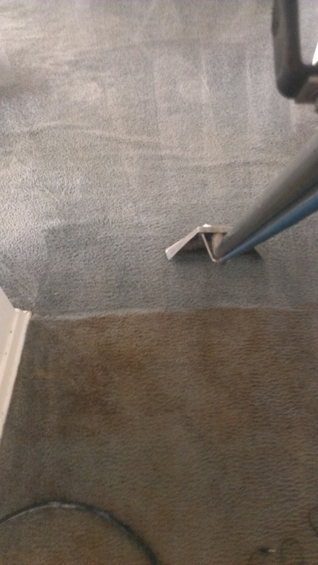 Samson's Carpet Cleaning & Restoration