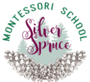 Silver Spruce Montessori School