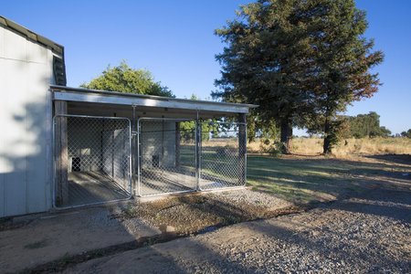 Dog boarding outlet ranch near me