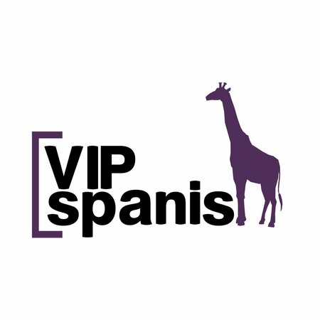 VIP Spanish LLC