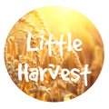 Little Harvest Childcare
