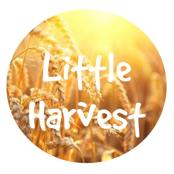 Little Harvest Childcare Logo
