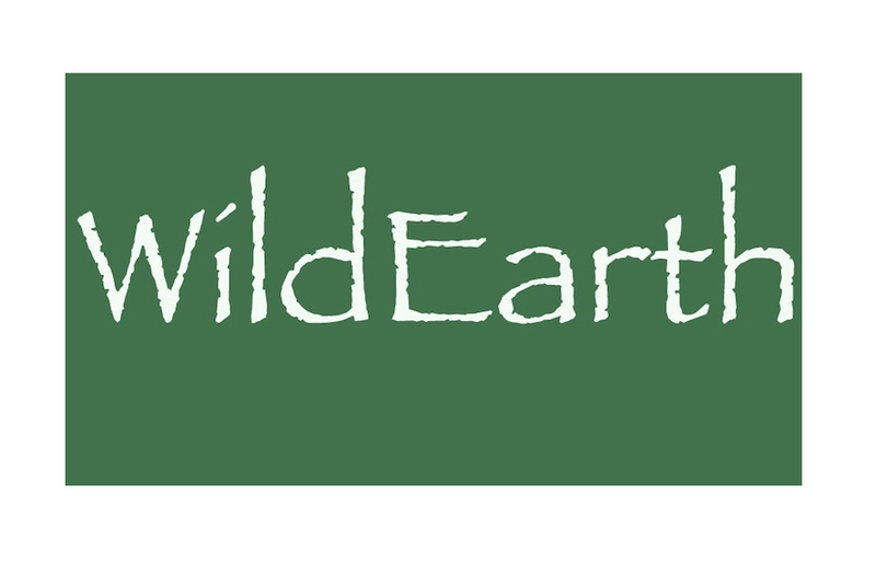 Wild Earth Eco Child Care Logo