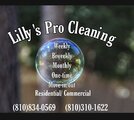 Lilly's Pro Cleaning