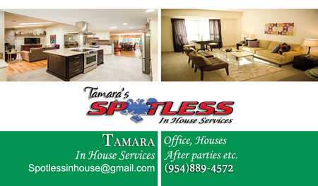 Spotless in House Service