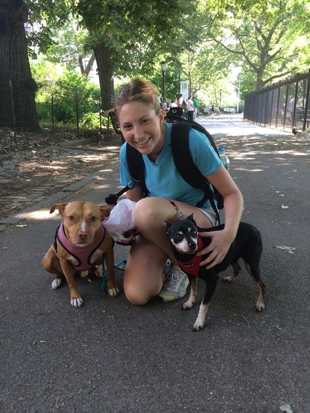 NYC Pet Nannies