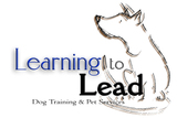 Learning To Lead Dog Training