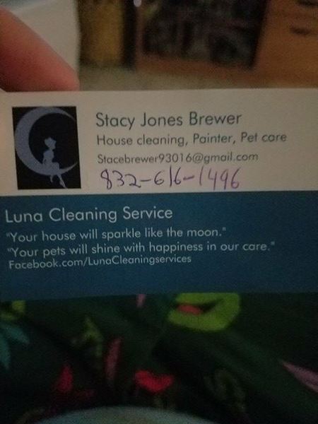 Luna Cleaning Services