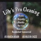 Lilly's Pro Cleaning