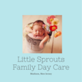 Little Sprouts Family Daycare