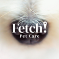 Fetch Pet Care Boca raton