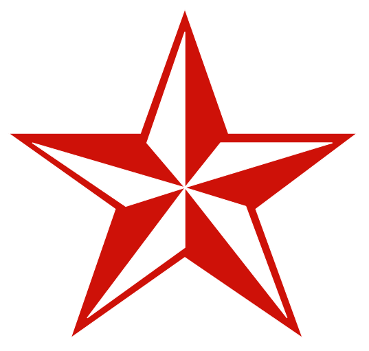 Star Nursing & Therapy Services, Llc Logo