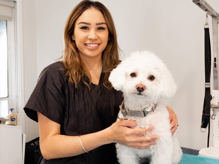 Groom - Dog Care With Love