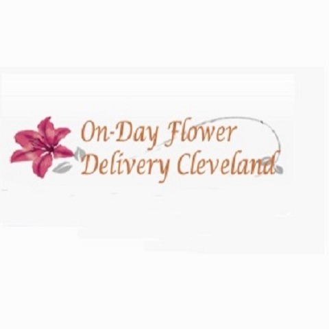 On-day Flower Delivery Cleveland Logo