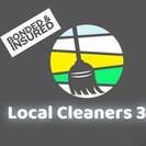 Local Cleaners 365