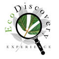 EcoDiscovery Experience
