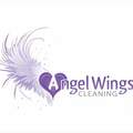 Angel Wings Cleaning