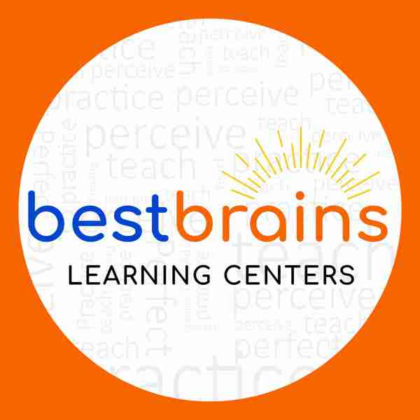 Best Brains Logo