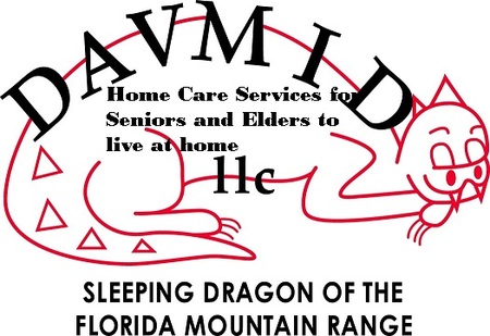 DavMid Home Care Services