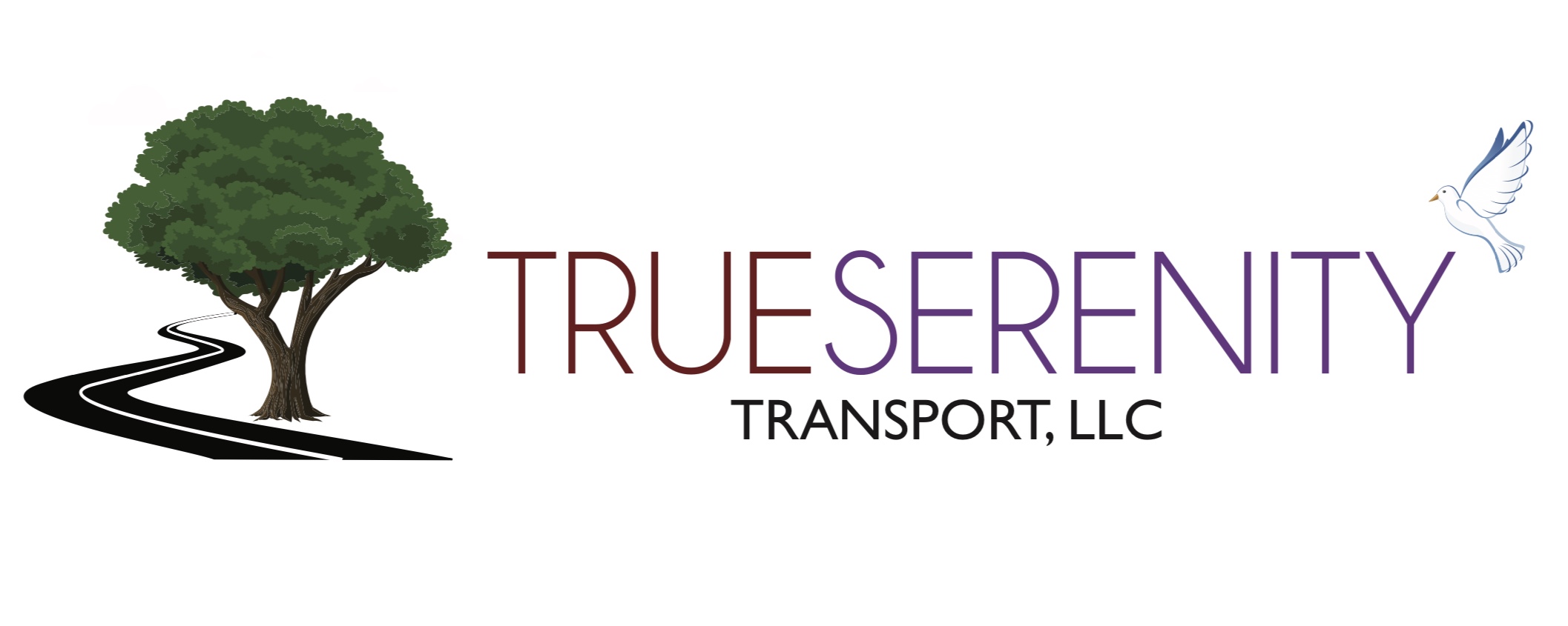 True Serenity Transport, Llc Logo