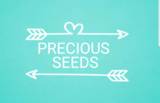 Precious Seeds Daycare