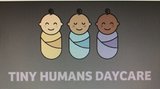 Tiny Humans Daycare
