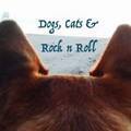 Dogs, Cats & Rock N Roll Logo