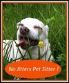 No Jitters Pet Sitter & Services