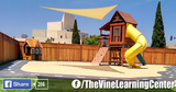 The Vine Learning Center Inc.