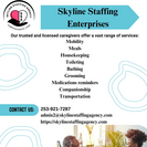 Skyline Staffing Enterprises
