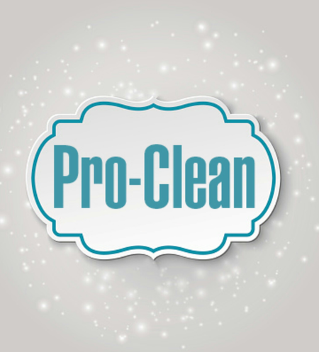 Pro-Clean llc