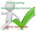 Dog Boarding at Munster Abbey Kennel