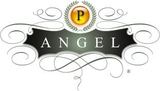 Project Angel Of Nwa, Lc