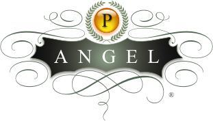 Project Angel Of Nwa, Lc Logo