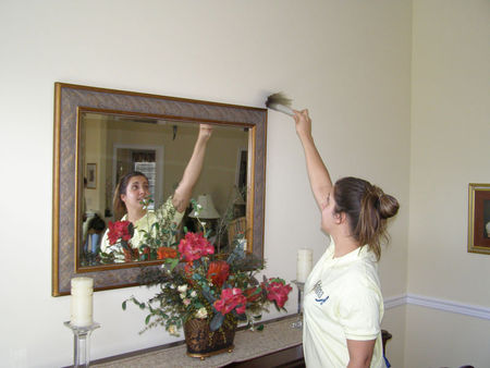 Executive Cleaning Services