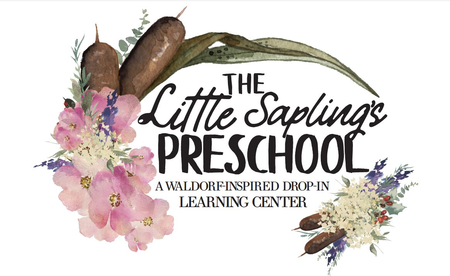 The Little Saplings Preschool
