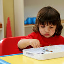 American Montessori - Apple Valley