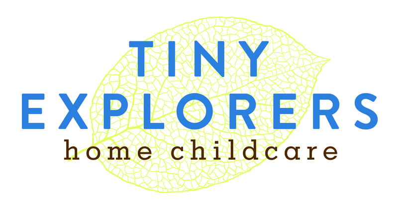 Tiny Explorers Home Childcare Logo