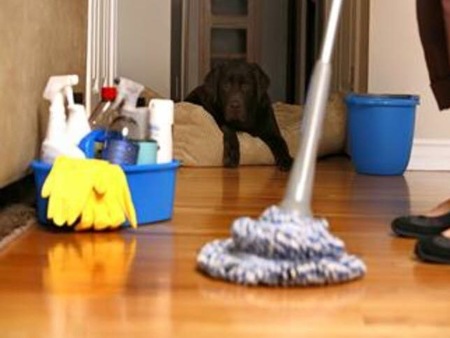 Valentine Cleaning Services