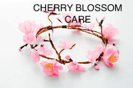 Cherry Blossom Care Logo