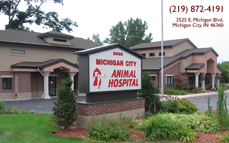 Michigan City Animal Hospital