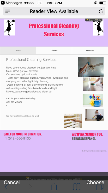 Professional Cleaning Services