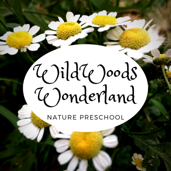 Wildwoods Wonderland Logo