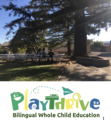 PlayThrive School