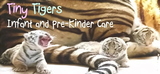 Tiny Tigers Infant & Pre-Kinder Care LLC