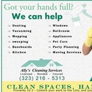 Ally's Cleaning Service