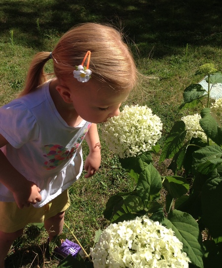 First Presbyterian Preschool